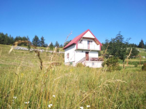 Отель Holiday Home Usovic, Жабляк